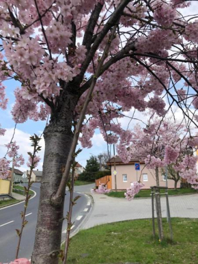 Apartmány na Vršku, Plzen
